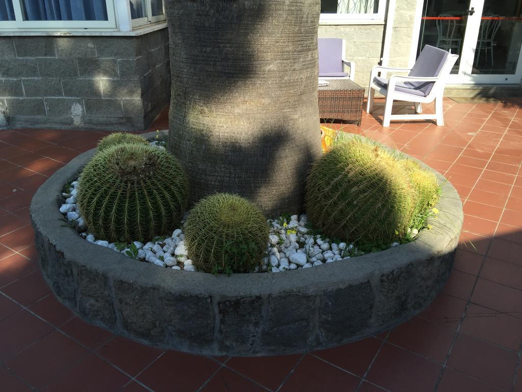 Forio di Ischia Hotel Villa Al Parco מראה חיצוני תמונה